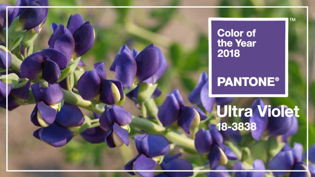 Ultraviolet Rules: Pantone’s Color of 2018