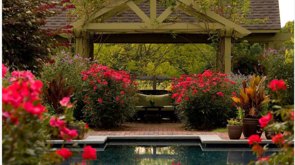 Red's Hot: Here's How to Add this Color to Your Landscape