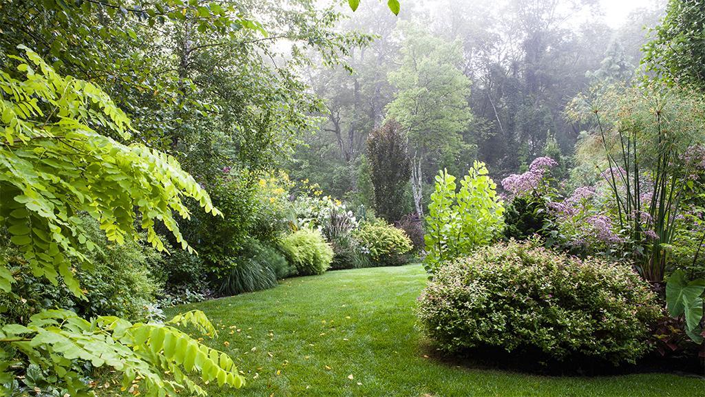 Create an Enchanting Garden Where the Whole Family Can Play