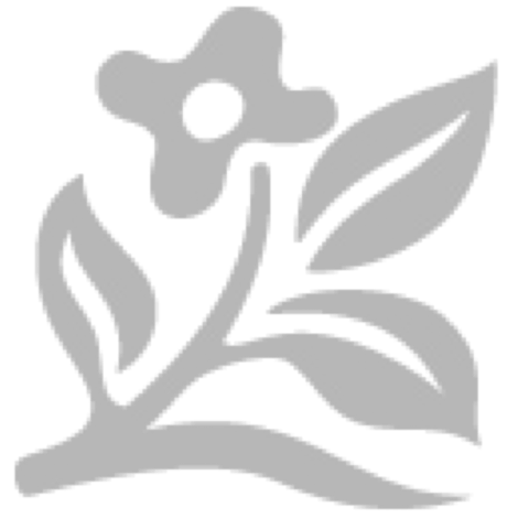 Evergreen/Semi-Evergreen Shrubs