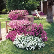 Hort Printers