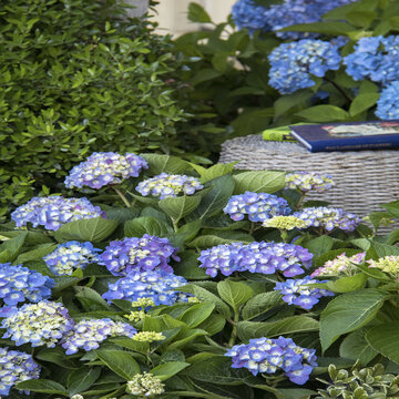 Full shot :: Credit :: Doreen Wynja