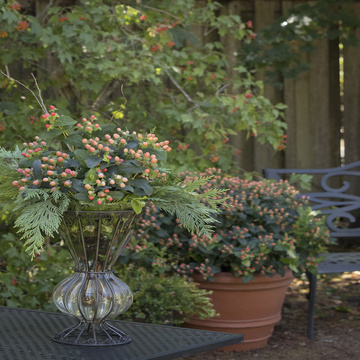 Landscape :: Credit :: Doreen Wynja