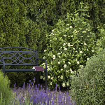 Landscape :: Credit :: Doreen Wynja