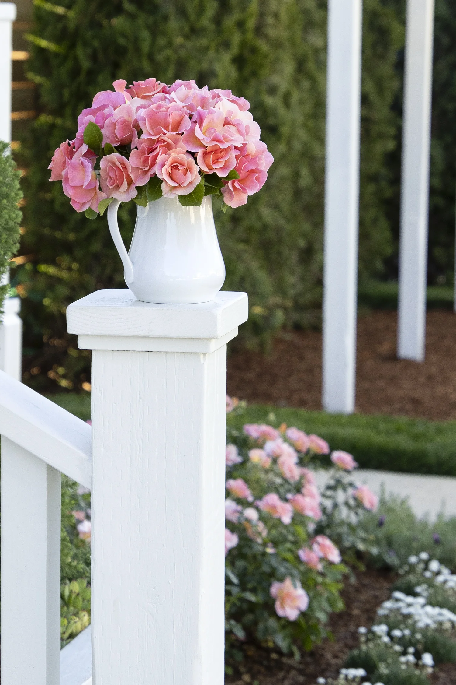 ©Monrovia by Doreen Wynja