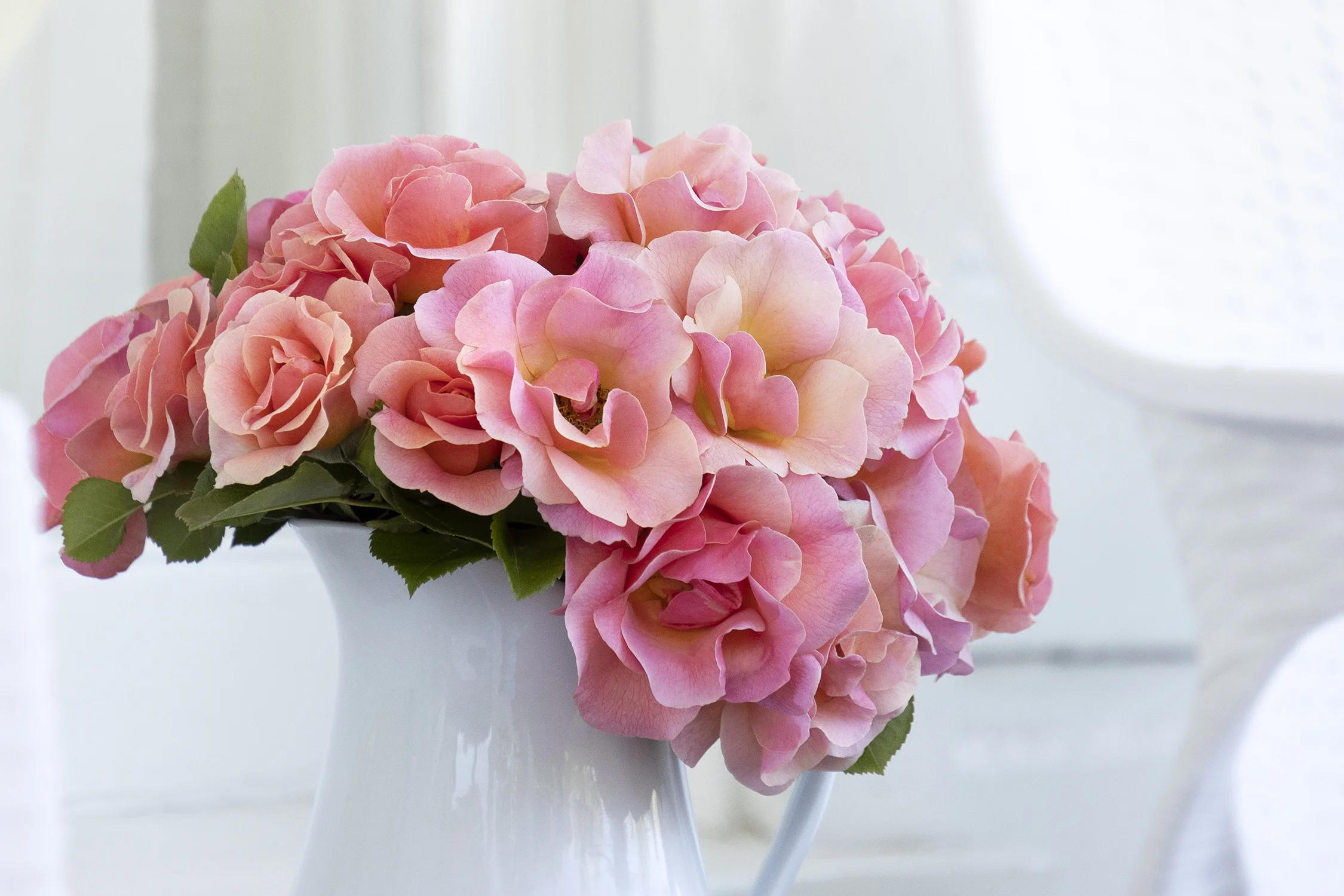 ©Monrovia by Doreen Wynja