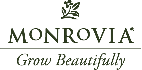 Monrovia | Grow Beautifully