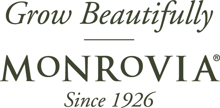 Grow Beautifully | Monrovia | Since 1926