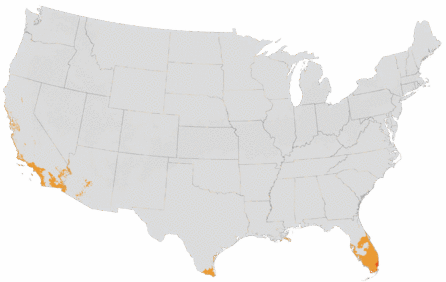 USDA Cold Hardiness Zone Map