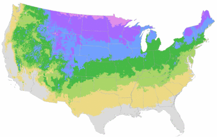 USDA Cold Hardiness Zone Map