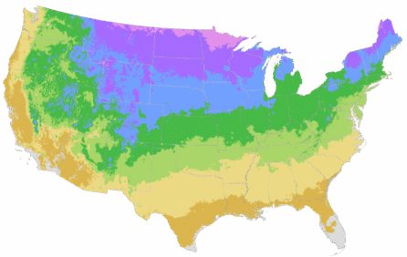 USDA Cold Hardiness Zone Map