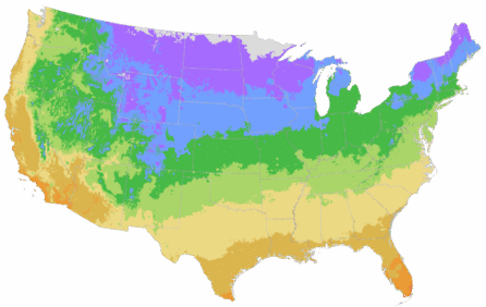 USDA Cold Hardiness Zone Map