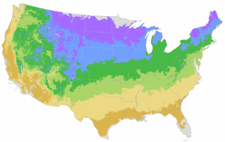 USDA Cold Hardiness Zone Map