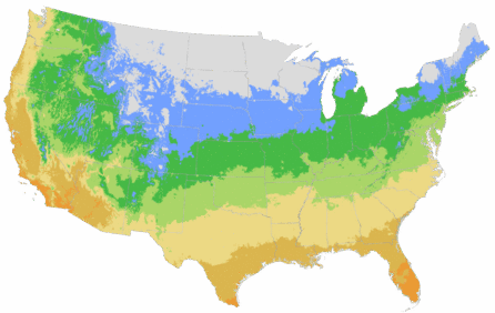 USDA Cold Hardiness Zone Map