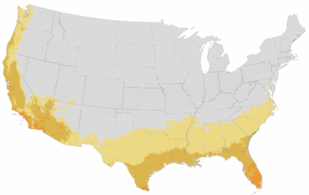 USDA Cold Hardiness Zone Map