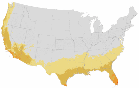 USDA Cold Hardiness Zone Map