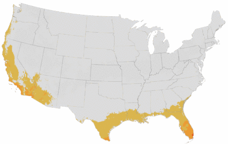 USDA Cold Hardiness Zone Map