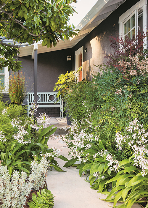front entryway with hostas, nandina plants