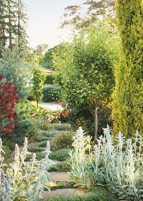 low-maintenance pathway in front yard