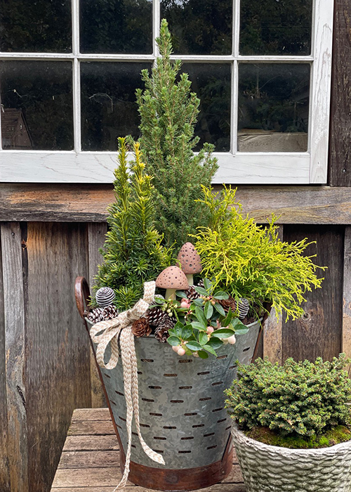 winter holiday container with spruce tree and mushroom