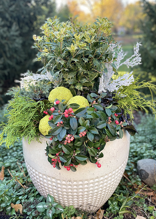 colorful winter container