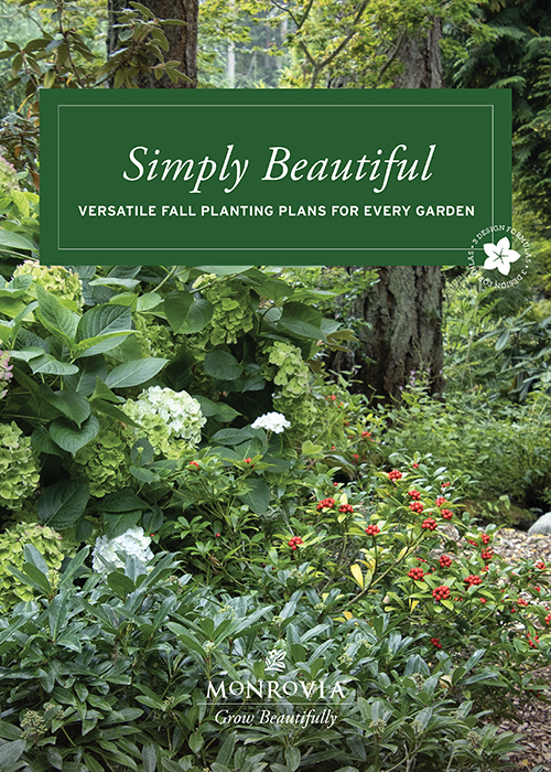 simply beautiful project guide cover