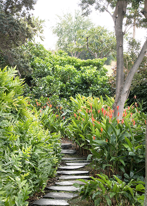 pathway through lush tropical garden