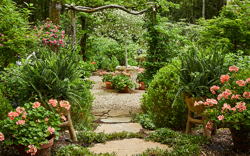 peach geraniums on either side of an arbor in romantic cottage garden