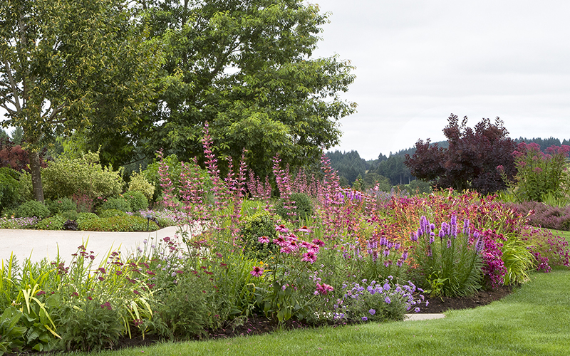 colorful garden border with pollinator plants