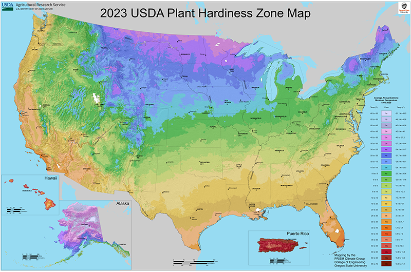usda planting zone map