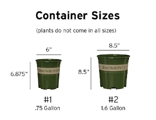 Container Sizes